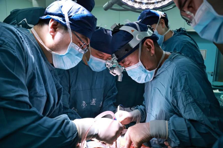 近日,空军军医大学西京医院综合外科岳树强主任团队联合医院11个学科