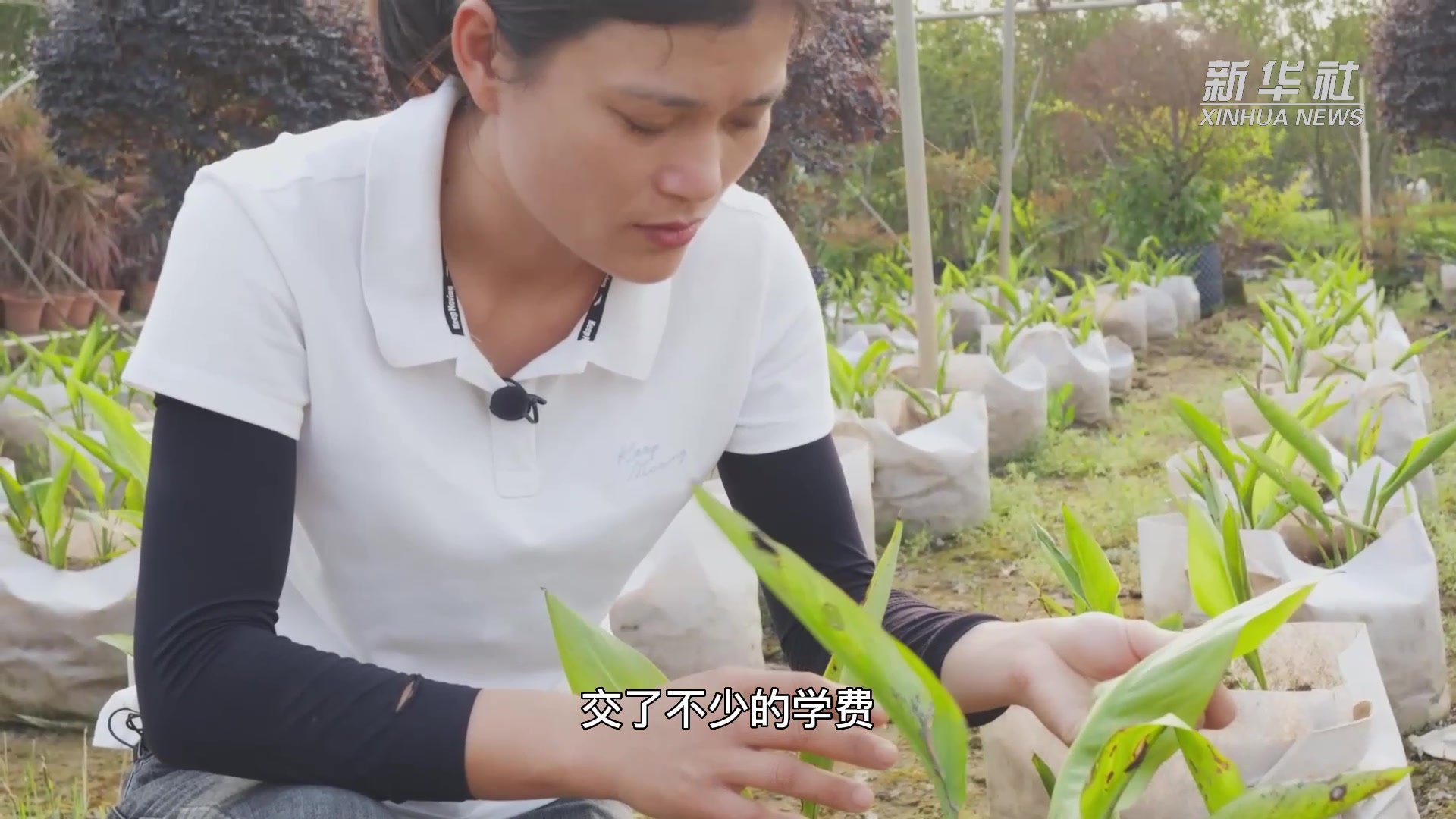 乡村工匠｜花卉工程师：用专业技能助力乡村振兴