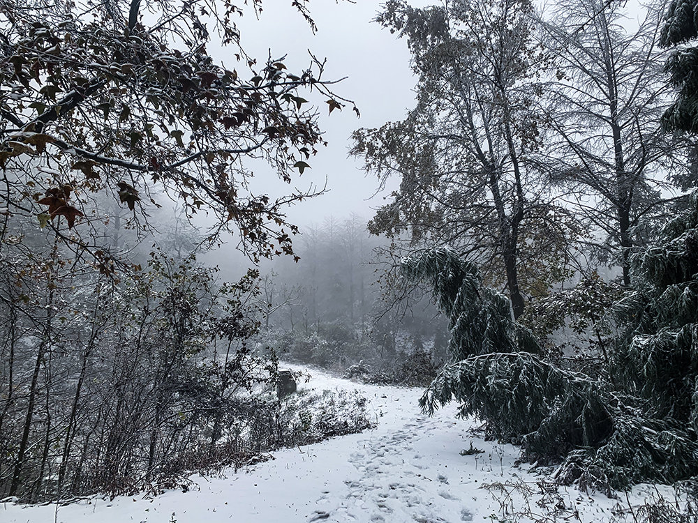 电力人顶风冒雪，巡视高寒山区线路