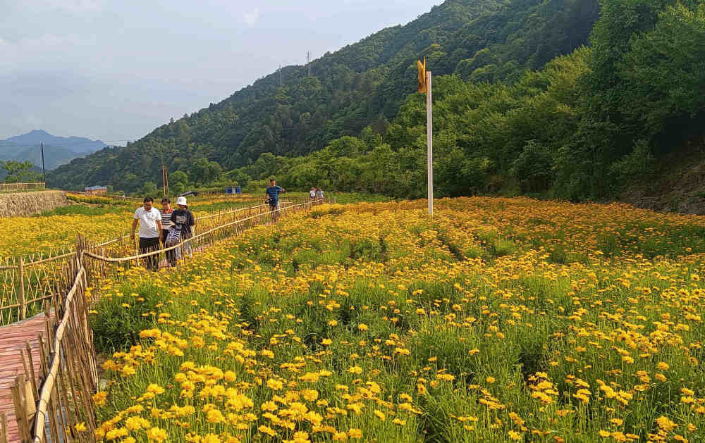 吴彦峰沈阳图片