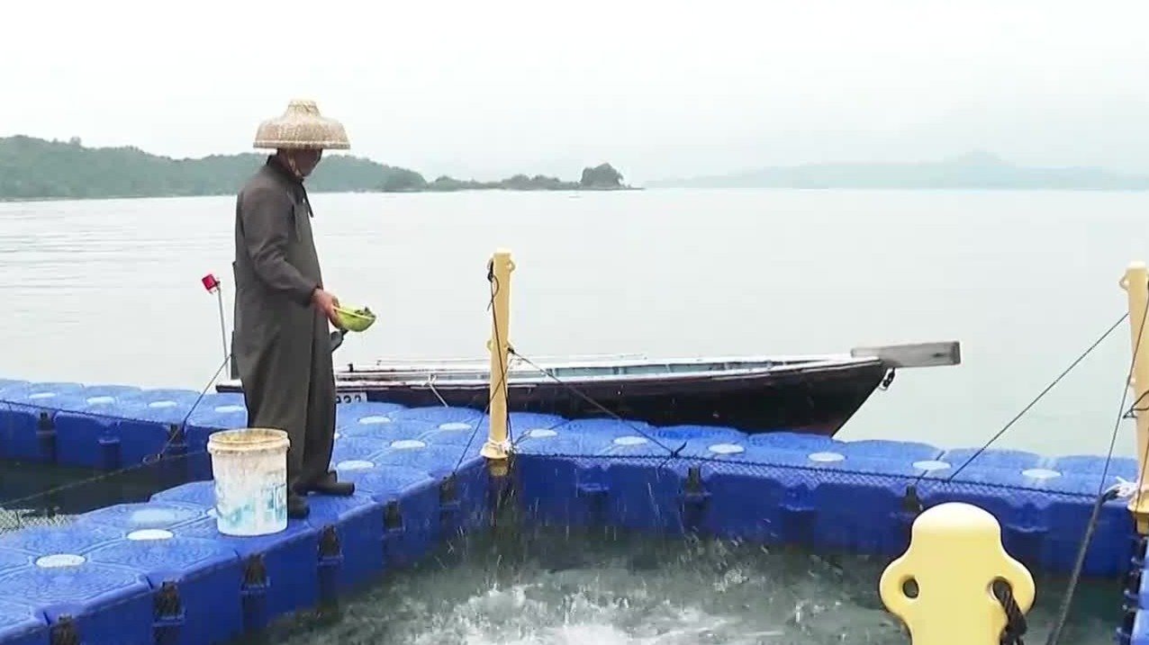 形象设计师为了儿子健康研究食物安全，专门开设海鱼养殖学校