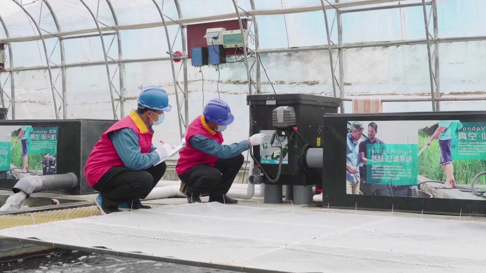 山东高唐：小锦鲤“游”出富民大产业