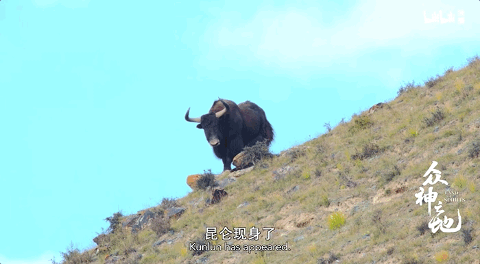 昆仑与智达