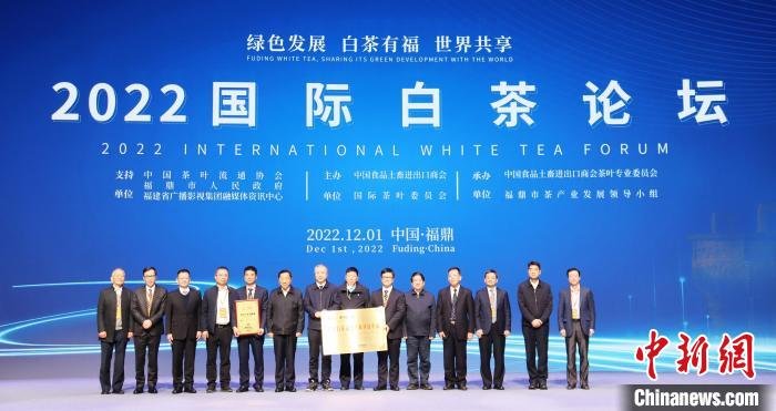 助力白茶产业发展 国际白茶论坛在福建福鼎举行
