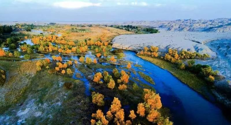 如何打好湿地生态保护组合拳?请看“瓜州样板”