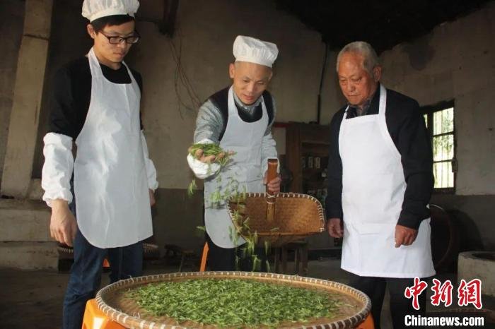 綠茶制作技藝(婺州舉巖) 浙江省文化和旅游廳 供圖