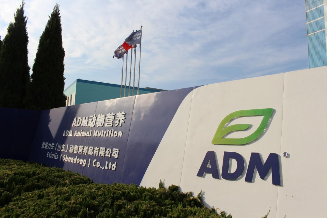 欧维力生公司：减抗计划 助力提高饲养管理和生物安全防护水平