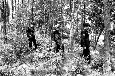 武宁县专职护林员正在巡护中。通讯员 卢张才摄