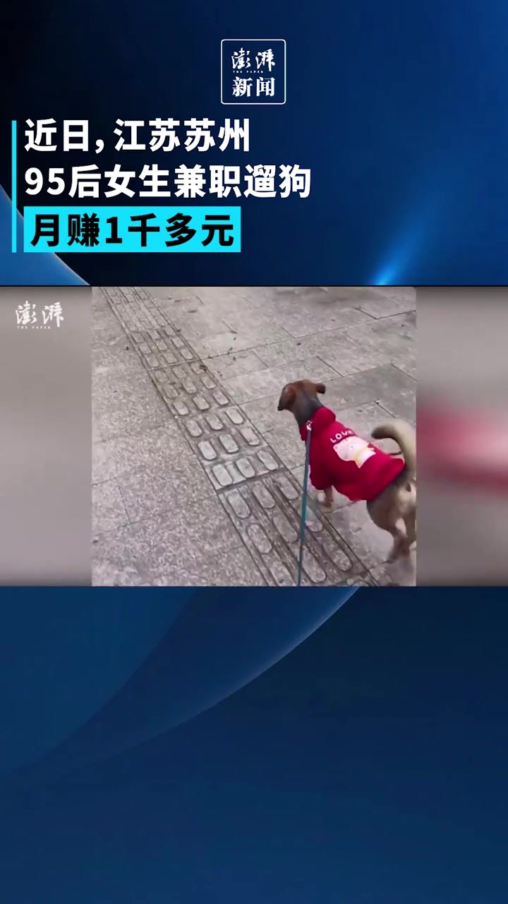 95后女生兼职遛狗，月赚1千多元
