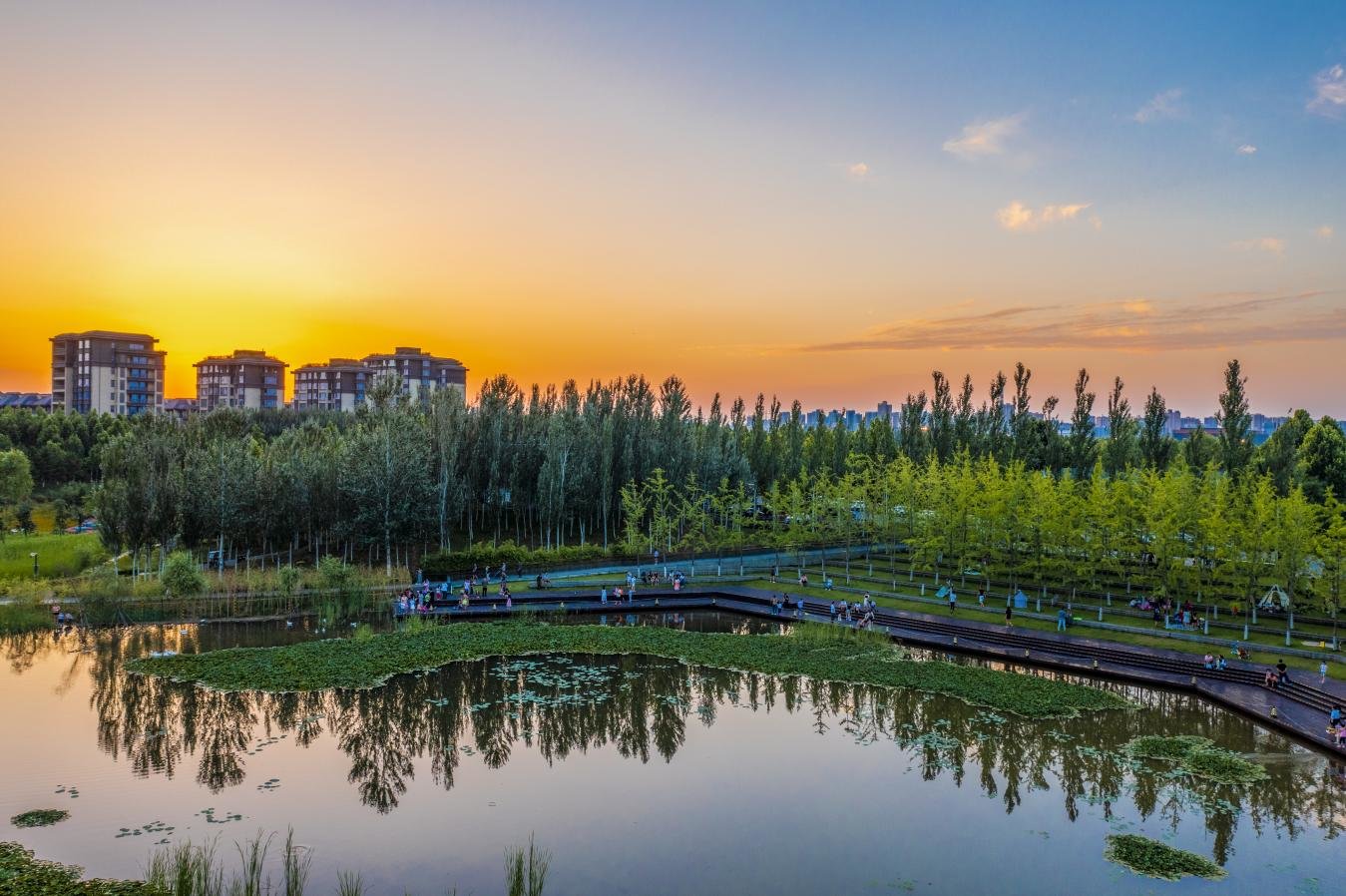 西咸新区沣西新城:推动绿色发展 建设人与自然和谐共生的现代化新城