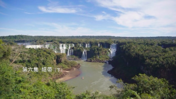 远方未远·一带一路上的华侨华人：纽带（下）