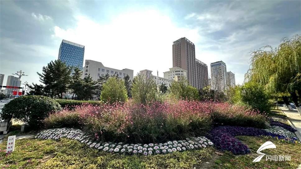 山东时令花卉批发市场在哪