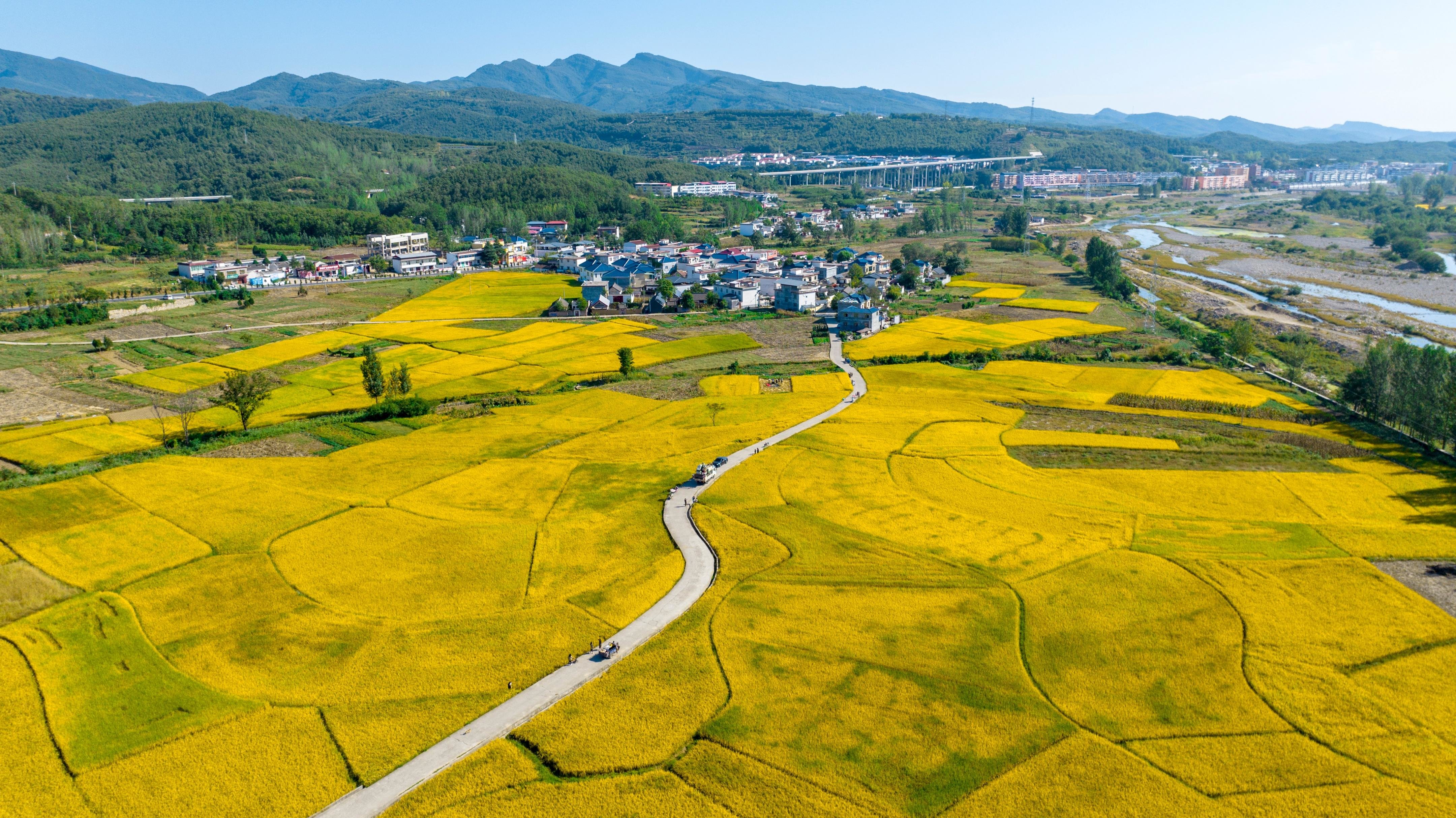 《山河锦绣》完美收官,鲁山小尔城的金黄稻田成为网红打卡地凤凰网