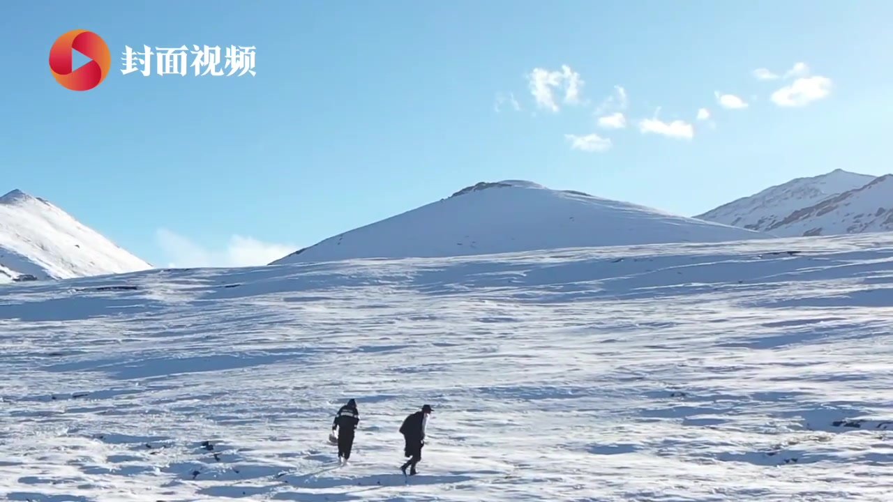 三江源国家公园设立一周年“答卷”：草原生态系统逐步恢复 珍稀动物频亮相