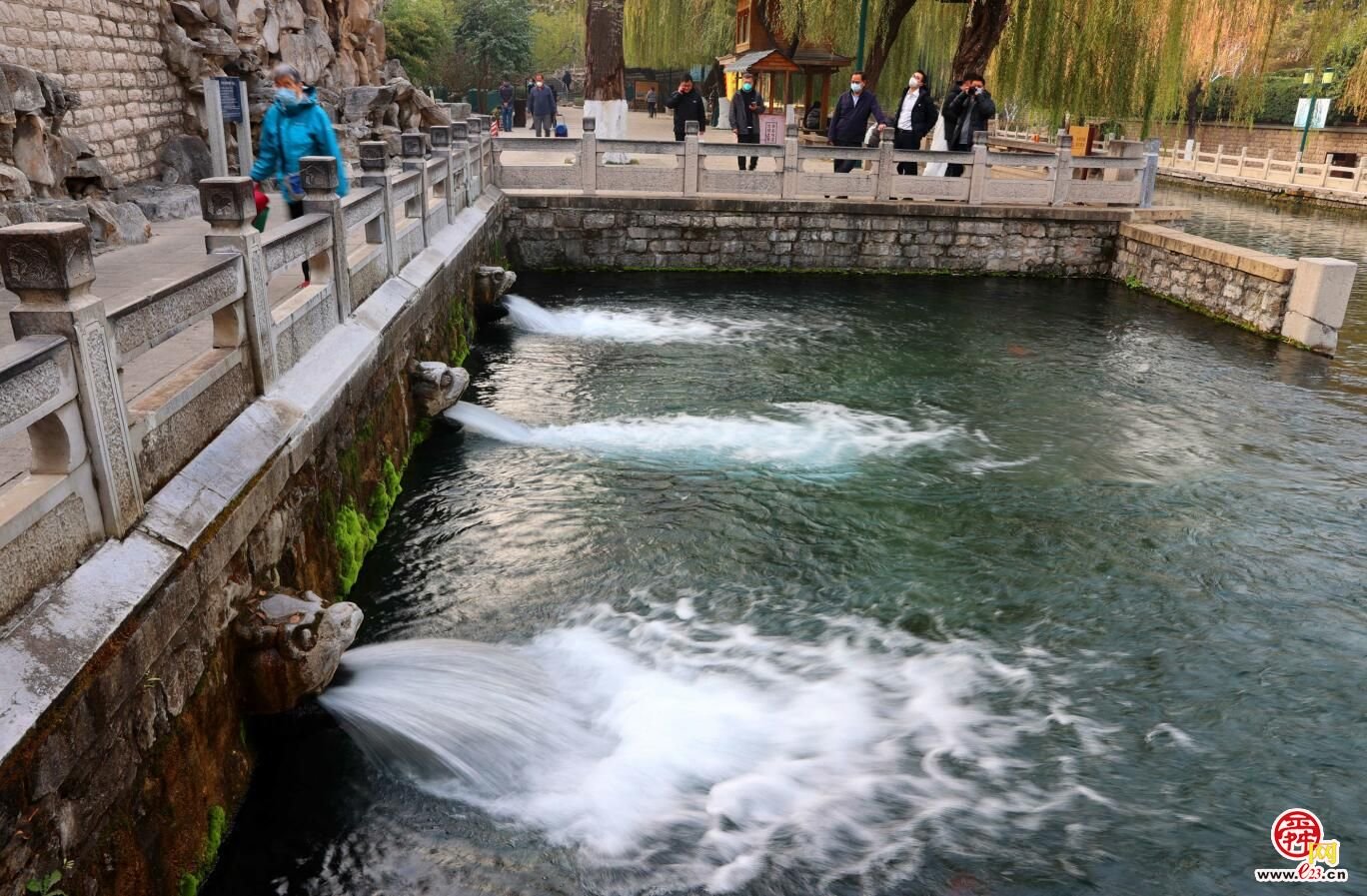 济南仲冬暖如春 群泉欢歌好风景