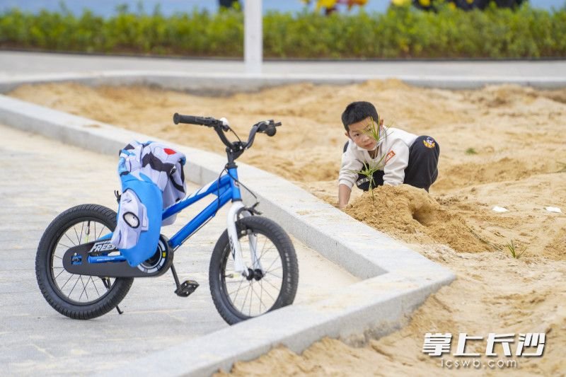 马栏山鸭嘴公园儿童沙滩片区，一位小男孩正在用沙子制作着自己的“小城堡”。