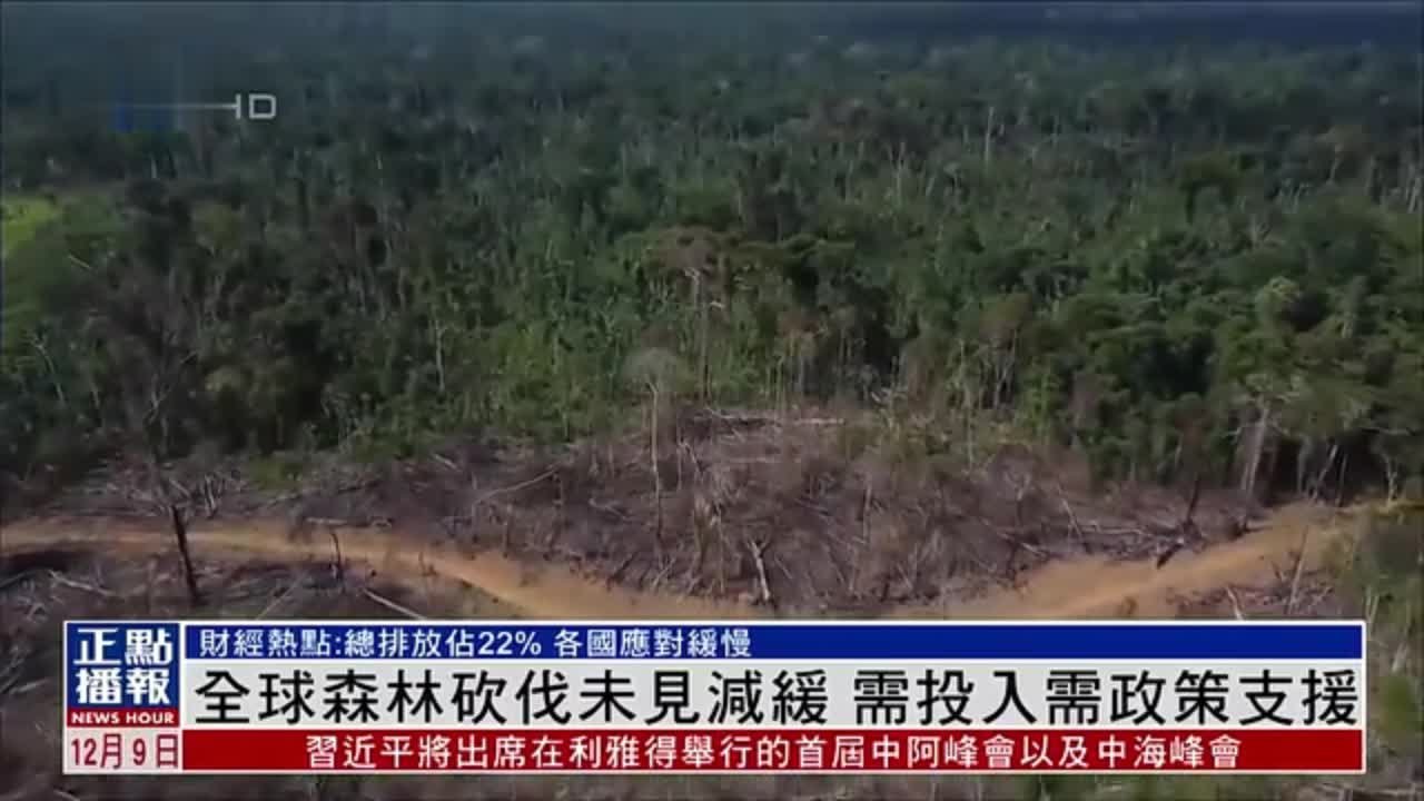 财经热点｜全球森林砍伐规模未见减缓 需投入需政策支援