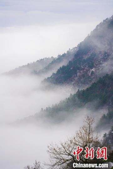 庐山云雾景观图片