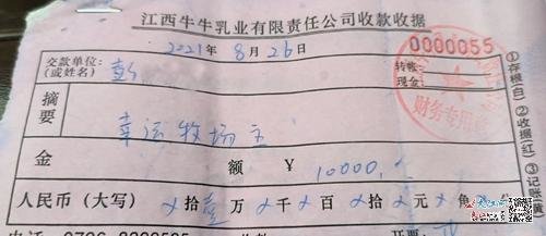 收款收据
