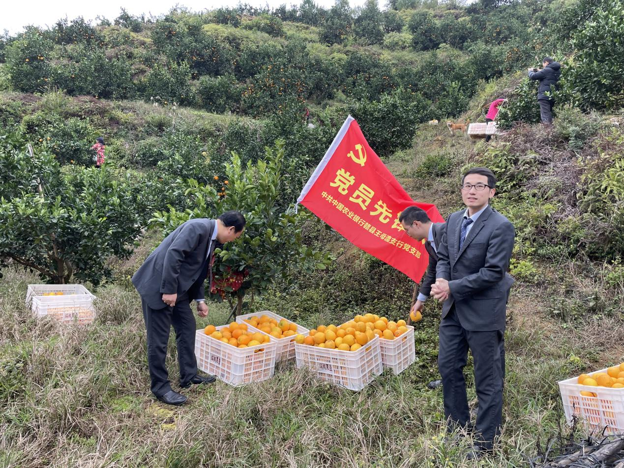 农行江西赣县支行“冬储行动”为农户备足春耕资金