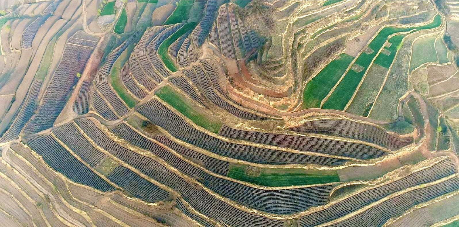 微信图片_20221129111235