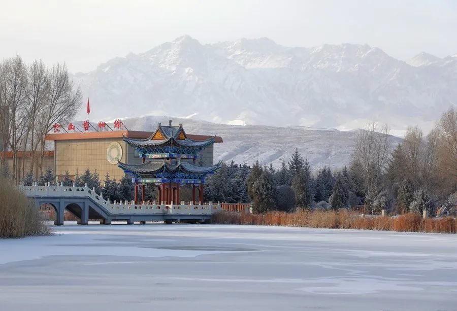 巍峨的祁连雪山银色连绵 王晓泾摄