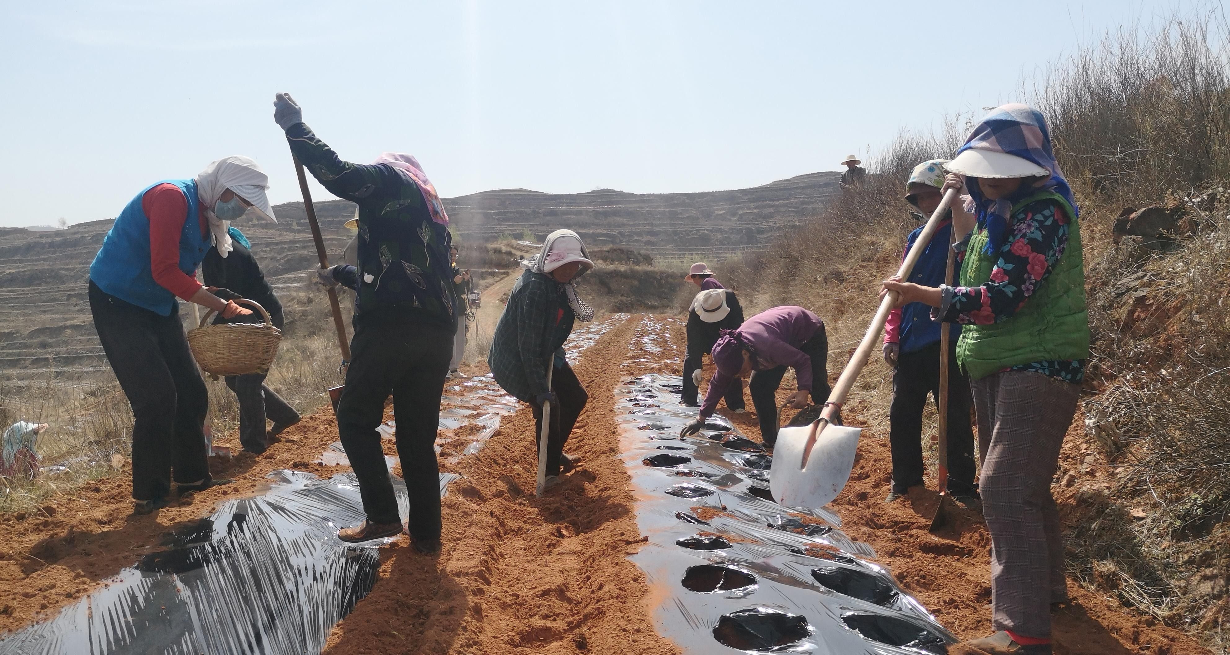 微信图片_20221129111239