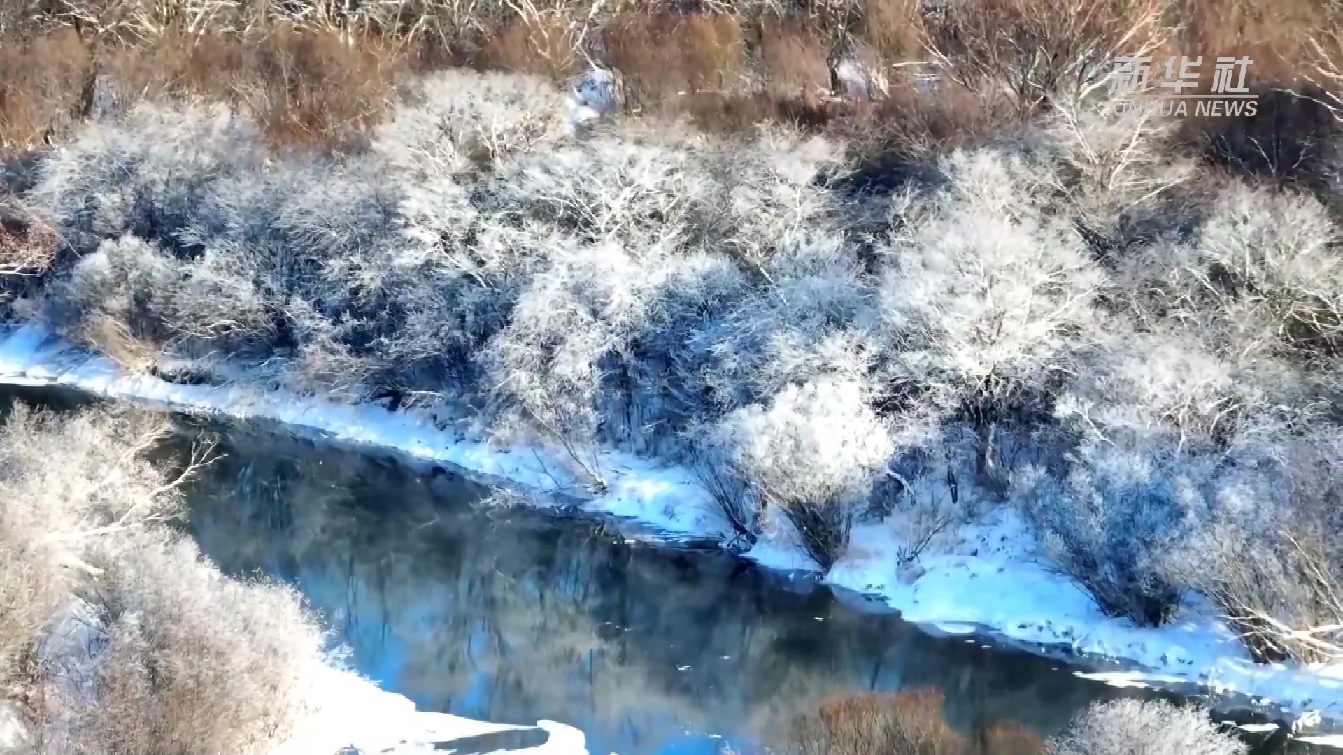 零下40℃ 内蒙古神奇不冻河流水潺潺