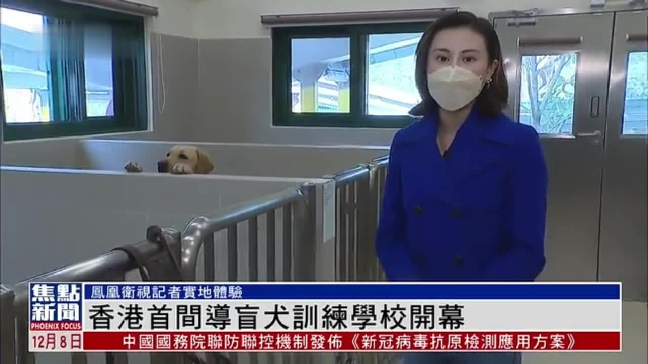 香港首间导盲犬训练学校开幕 凤凰卫视记者实地体验