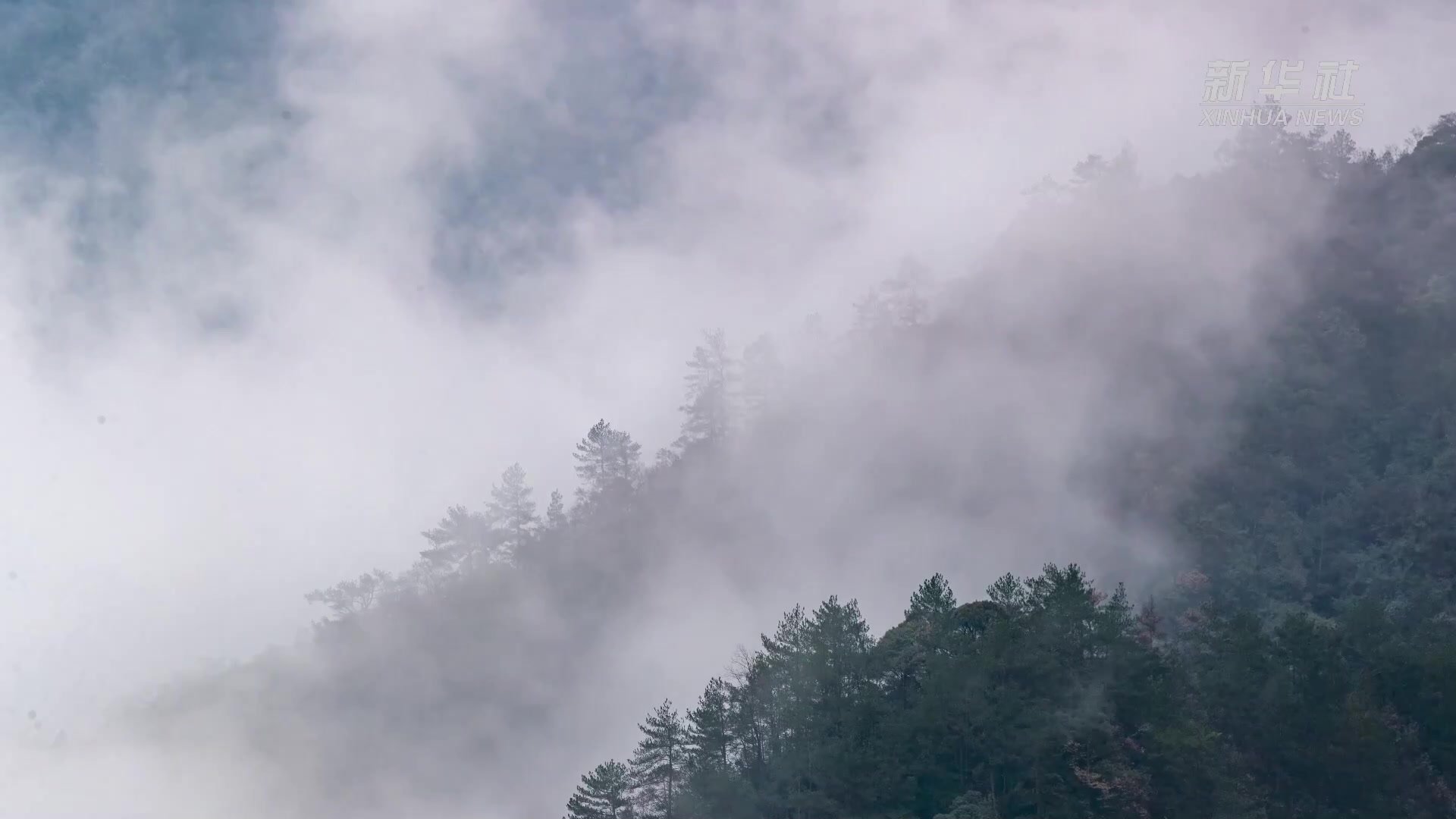 重庆金佛山：银装素裹美如画