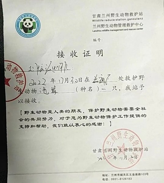 受到救助的池鹭被兰州野生动物保护站接收 （兰州市公安局七里河分局供图）