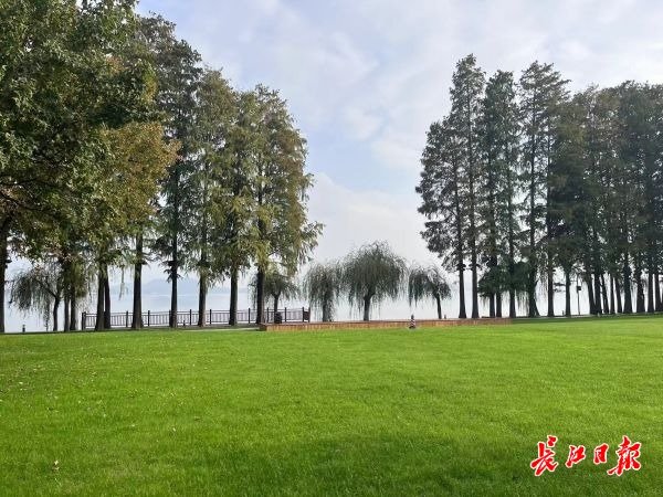 东湖听涛景区草地“春”意盎然。记者李文婕　摄
