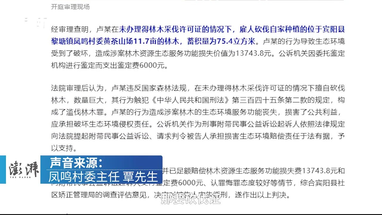 村民无证砍伐自种林木11.7亩获刑，村主任：值得警示