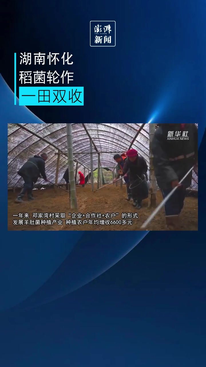 湖南怀化“稻菌轮作”一田双收