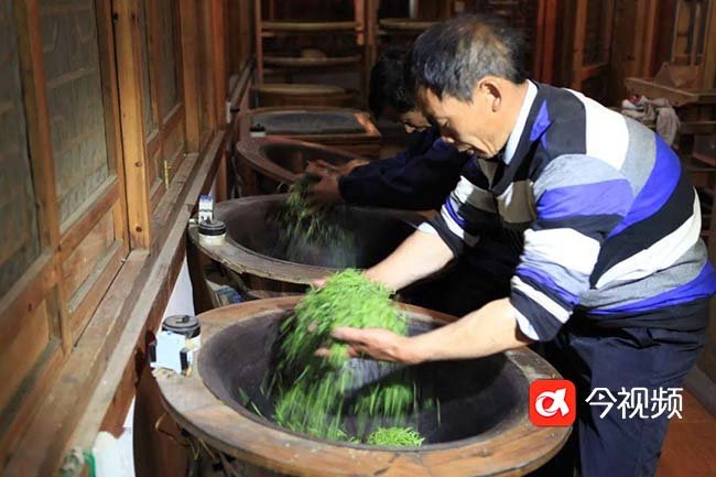 “中国茶”申遗成功!江西三大制茶技艺入列 实现零的突破_凤凰网