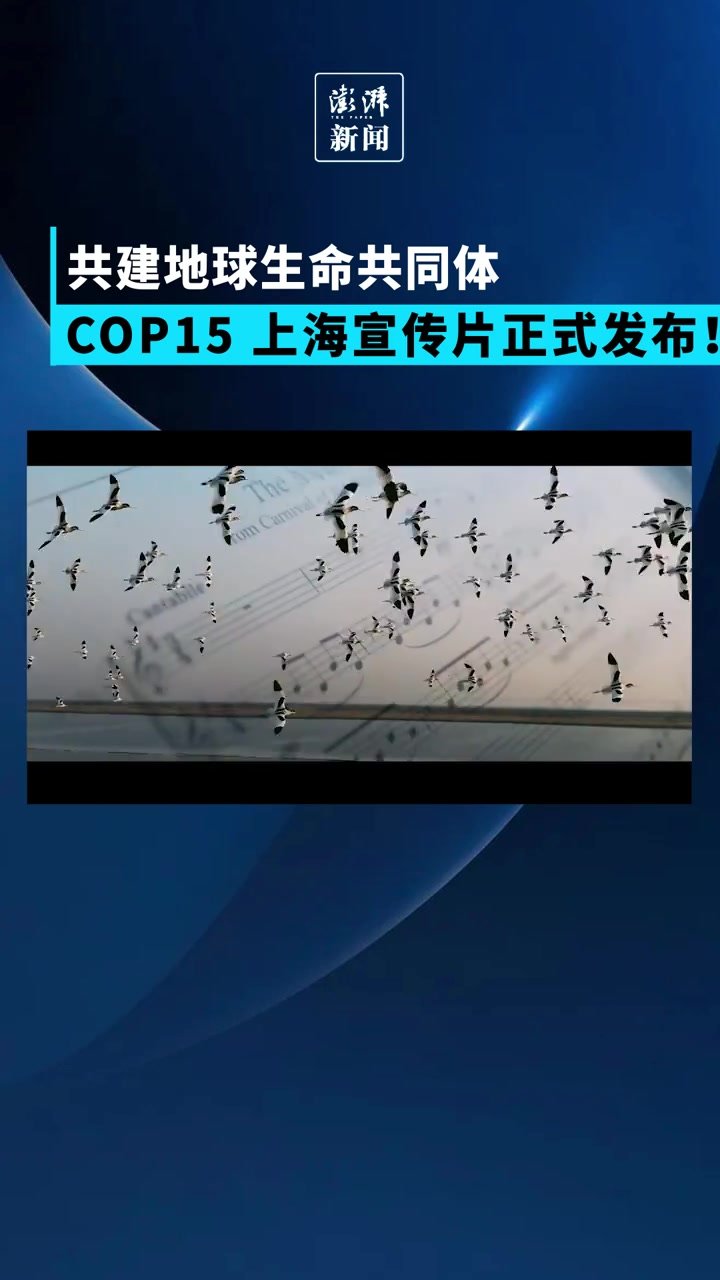 COP15上海宣传片正式发布