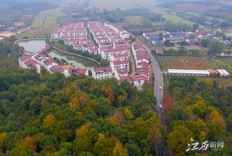 丰城：移民新村展新颜（图）凤凰网江西_凤凰网