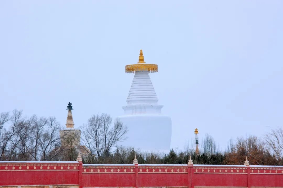 武威14个景区免费开放啦 别具一格的文旅盛宴等你赴约