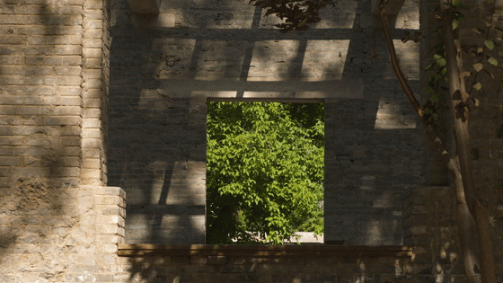 西北师大120岁啦！校庆宣传片《长河振铎》出炉