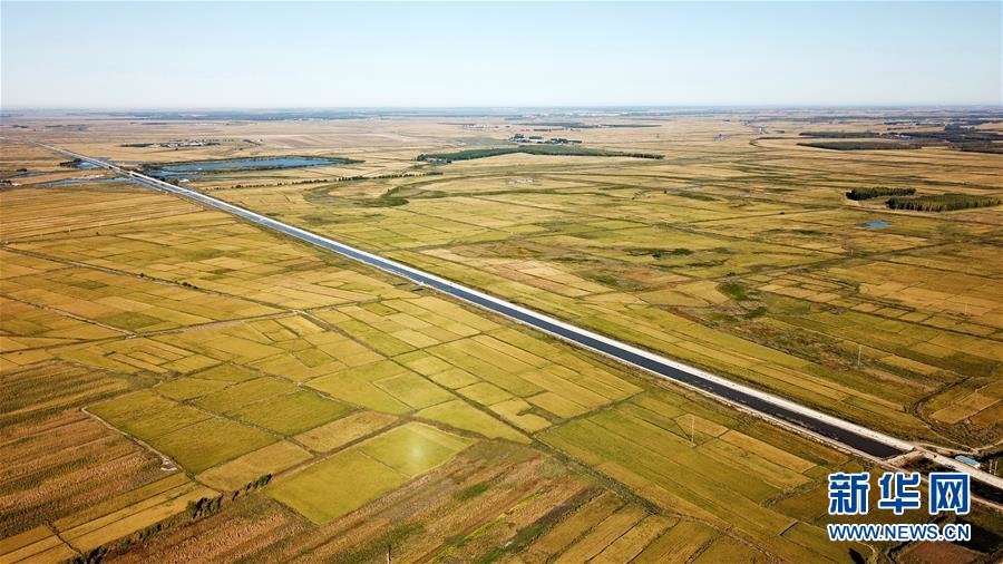 吉林省白城市镇赉县大屯镇的稻田。新华社记者 张楠 摄