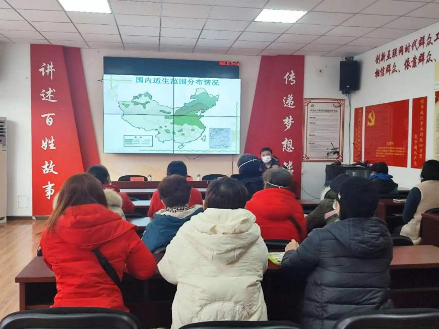 青岛市北区镇江路街道：党建引领搭平台 “市民园长”齐参与
