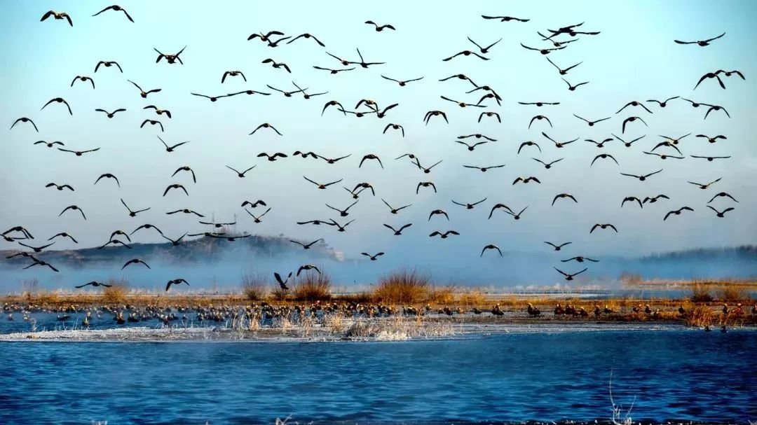 武威14个景区免费开放啦 别具一格的文旅盛宴等你赴约