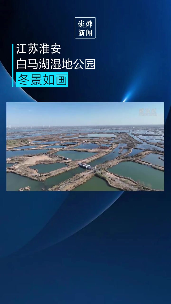 江苏淮安白马湖湿地公园冬景如画