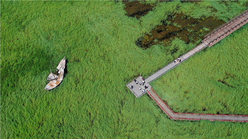 游客在吉林白城大安市牛心套保国家湿地公园游览。新华社记者 张楠 摄