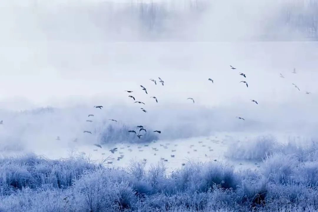 武威14个景区免费开放啦 别具一格的文旅盛宴等你赴约