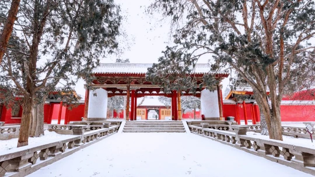 武威14个景区免费开放啦 别具一格的文旅盛宴等你赴约