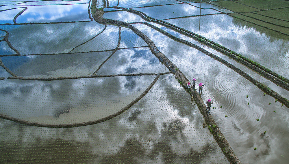 这是吉林省通化市的春耕场面。白书豪 摄（通化市委宣传部供图）