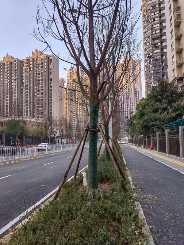 刚建成的轻机路北段机动车、非机动车和行人将各行其道。韩文君 摄