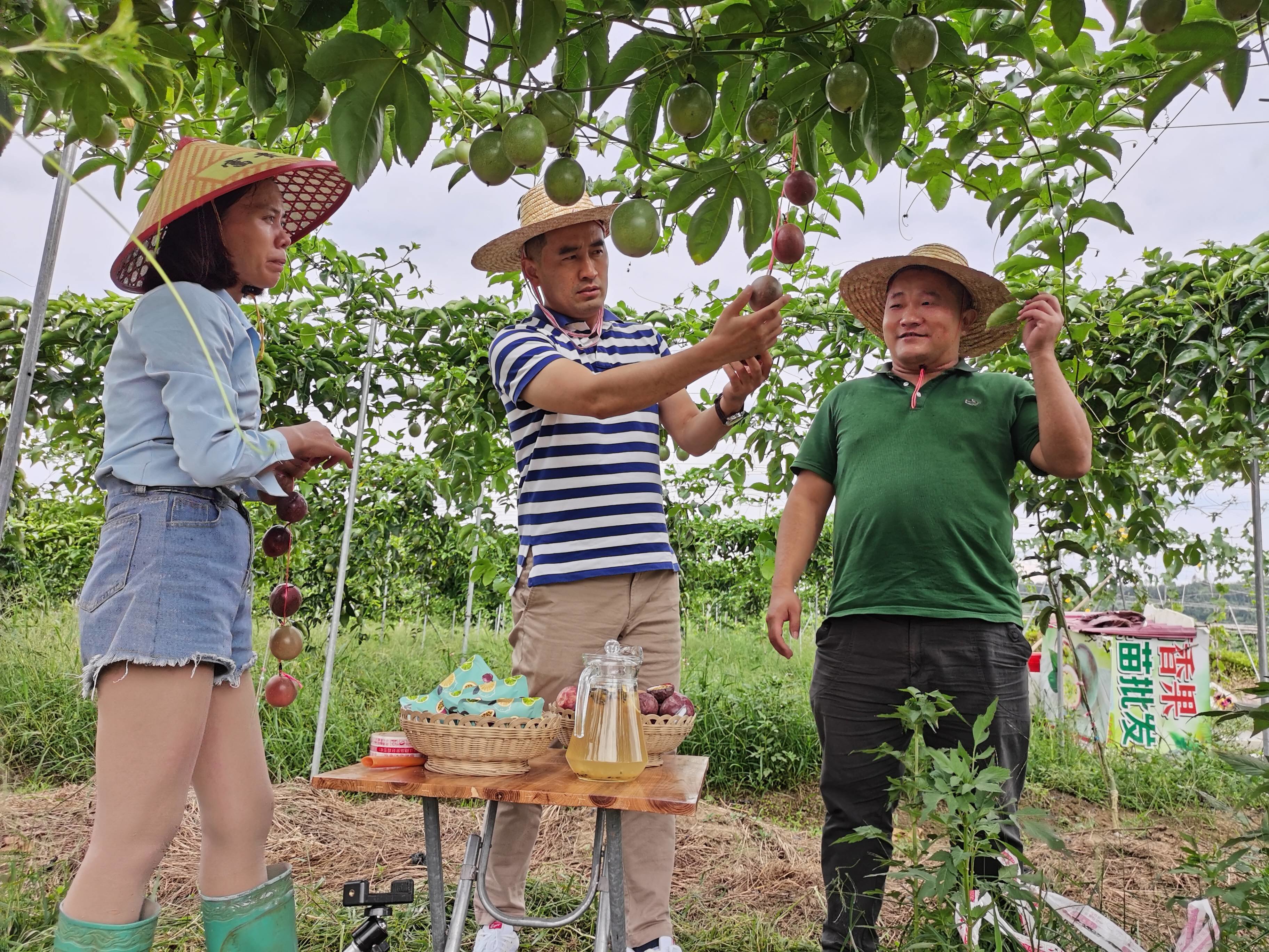 胡海河:以提升“造血”能力为目标,打造可持续的乡村振兴发展模式