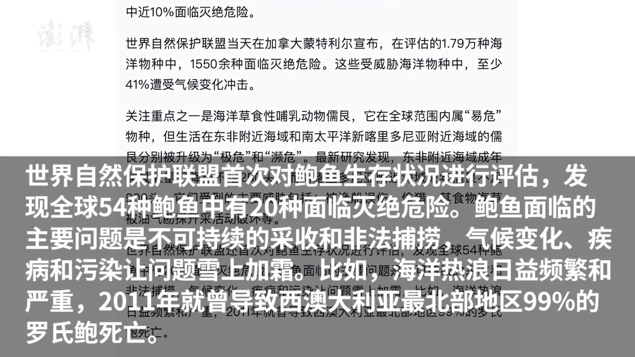 鲍鱼等海洋物种被列入濒危物种红色名录